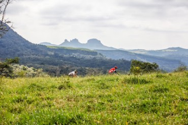 Bikers Rio Pardo | NOTÍCIAS | Rei e Rainha da Cuesta no Festival Brasil Ride