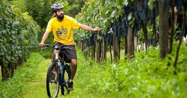 Bikers Rio Pardo | NOTÍCIAS | Vinho e Bicicleta: duas paixões que se encontram no cicloturismo