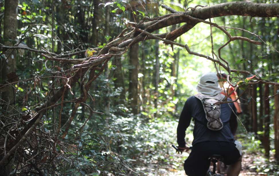 Bikers Rio pardo | Roteiro | 2 | Trilha Amaz&ocirc;nia Atl&acirc;ntica
