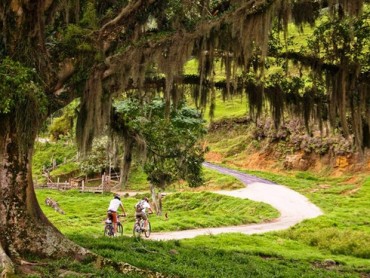 Bikers Rio Pardo | NOTÍCIAS | Cicloturismo é aposta do Circuito das Frutas para atrair visitantes em 2016