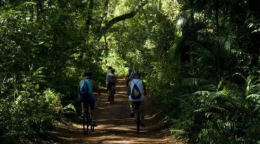 Bikers Rio Pardo | NOTÍCIAS | Ciclovia vai ligar Cascavel a Foz do Iguaçu - 160 km de incentivo para ecoturismo