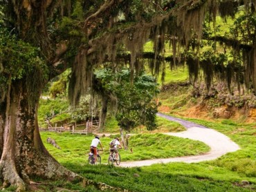 Bikers Rio Pardo | NOTÍCIAS | Cicloturismo é a nova proposta turística para o Circuito das Frutas